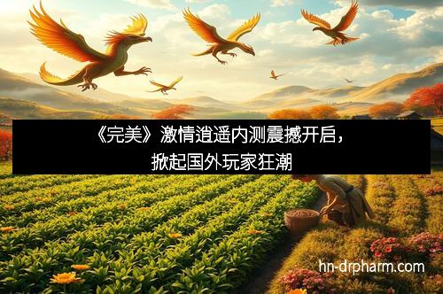 《完美》激情逍遥内测震撼开启,掀起国外玩家狂潮